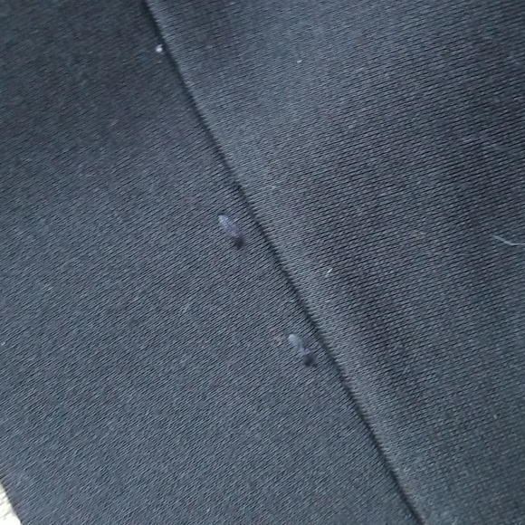 White House Black Market leggins - Picture 6 of 7